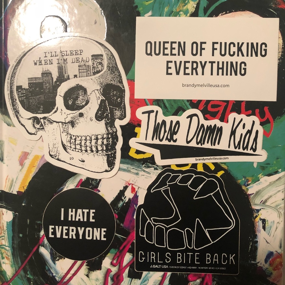 Bad A$$ Brandy Melville Stickers